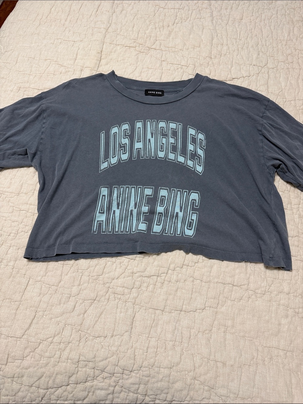 Anine Bing Kids' Los Angeles Graphic Tee — Charcoal with Light Blue Print